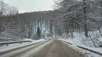 Опасност от падащи клони и дървета на прохода "Петрохан"
