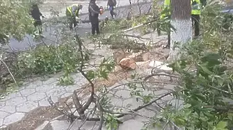 Община Бургас обяви частично бедствено положение (СНИМКИ)