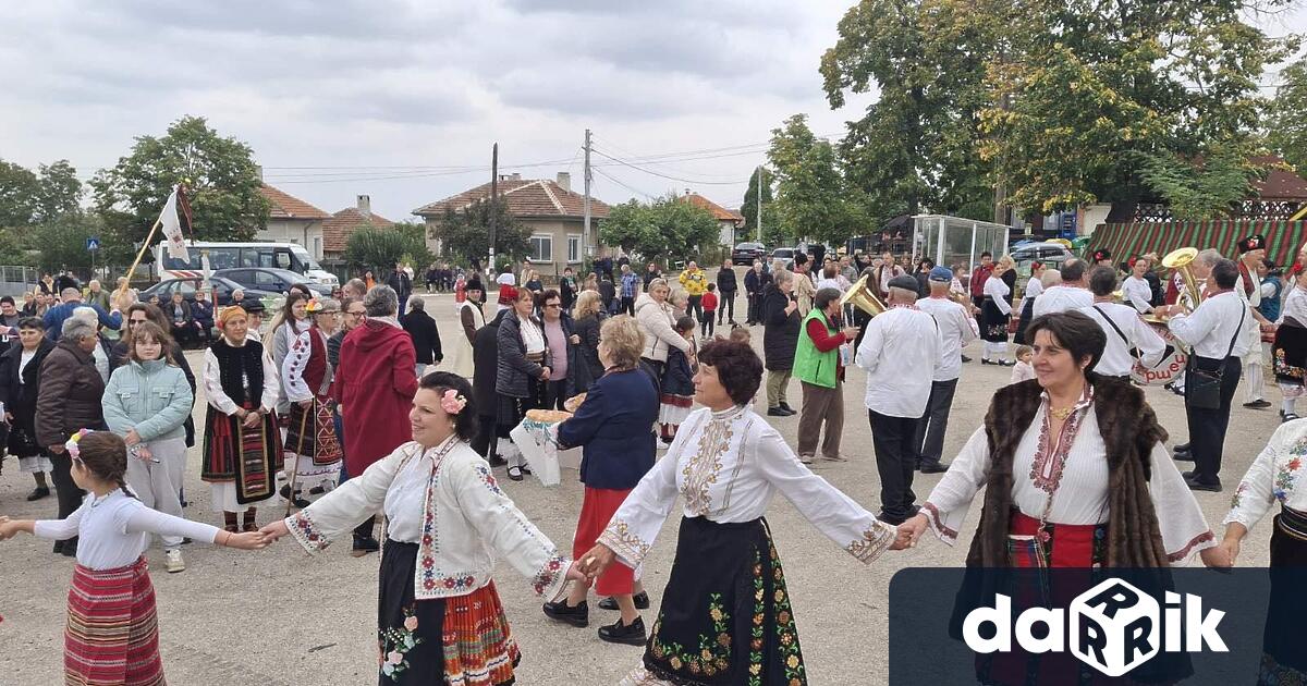 Заместник кметът на община Видин по хуманитарни дейности и социална политика