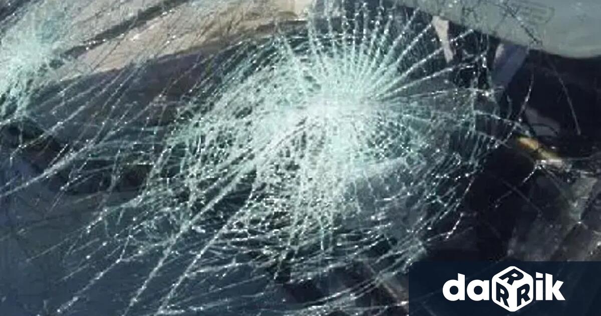 Най малко 15 пътници загинаха при катастрофа с автобус в бразилския