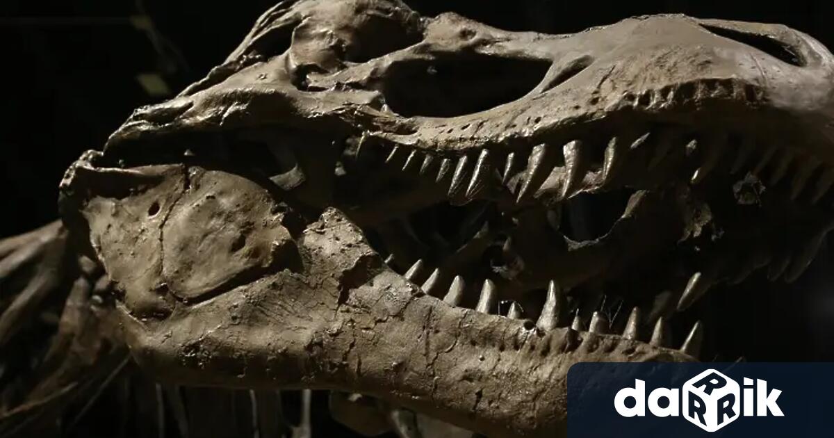 Учени откриха останки на динозавър живял преди цели 230 милиона