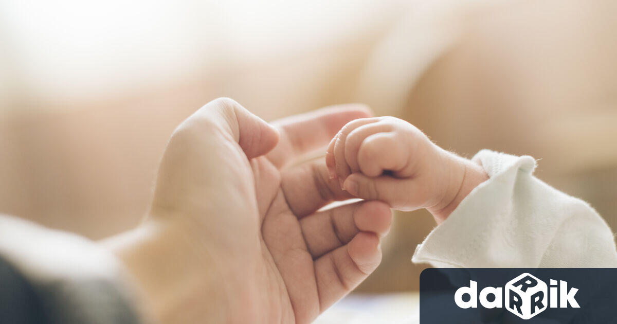 Общо 31 са подадените в Община Плевен заявления за отпускане