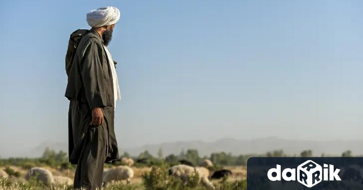 България подкрепи инициатива за координиран европейски подход при връщането на