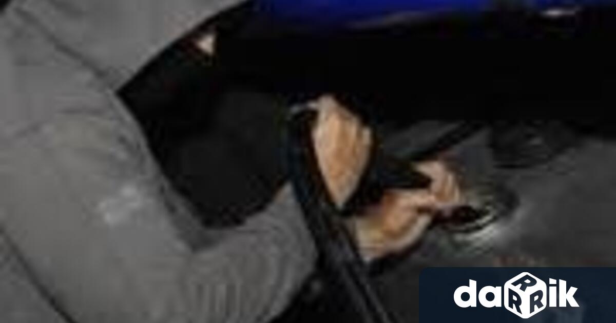 За поредно източване на гориво на камион в Белоградчик съобщиха