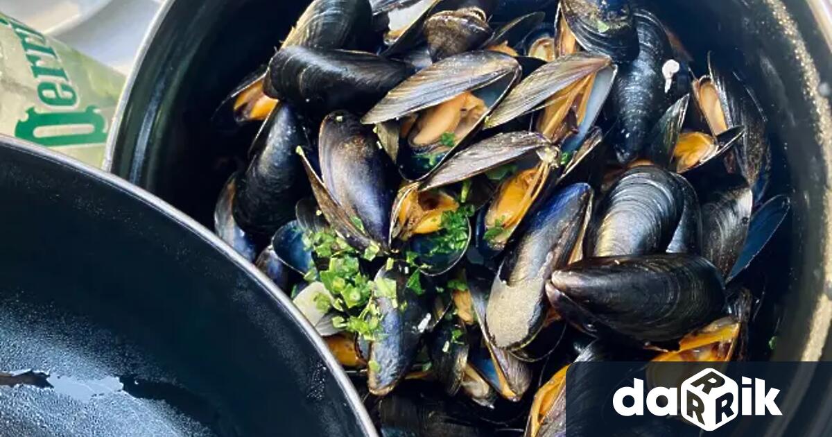 Подводни търсения разпоредени от Европейската прокуратура в София наскоро показаха