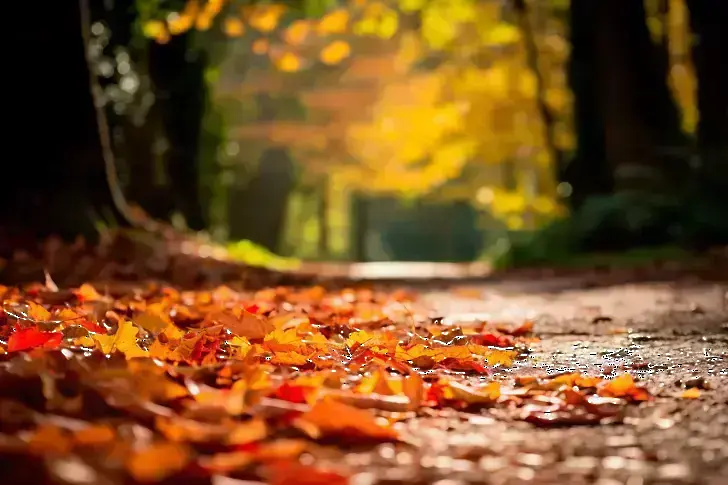 Започва „сиромашкото” лято