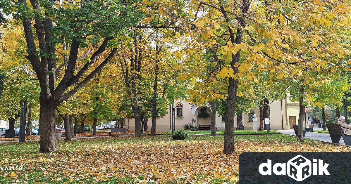 Обявен е жълт код за силен вятър на територията на