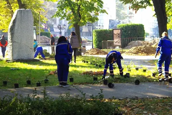 Във Видин засаждат дървета и храсти в различни части на града