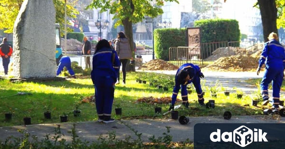 Дейностите се извършват от служителите на ОП Чистота озеленяване и