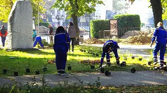 Във Видин засаждат на дървета и храсти в различни части на града