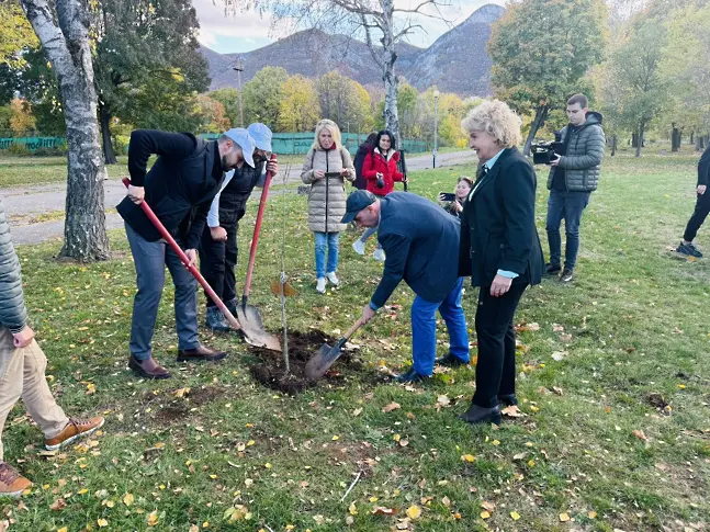 В парка на стадион "Хр.Ботев" във Враца засадиха Алея на будителите