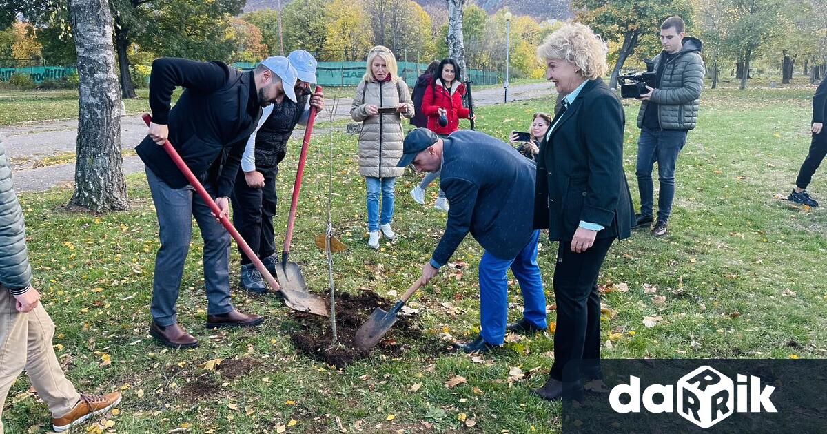За втора поредна година във Враца се провежда Седмицата на