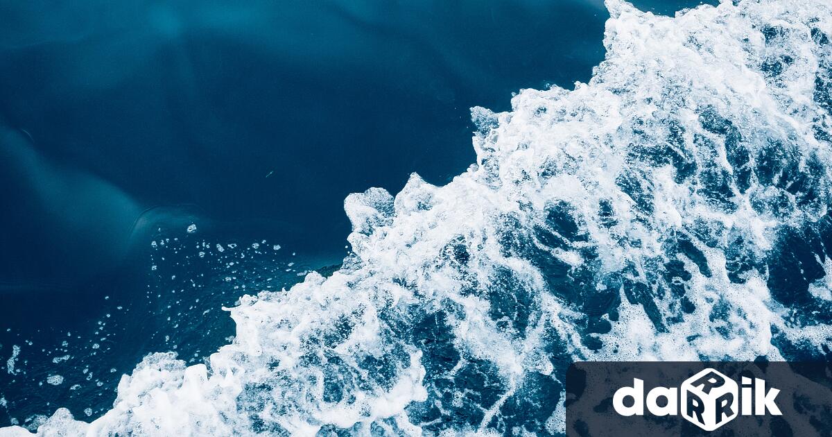 Източното Средиземноморие може да се окаже дом на изключително разнообразие