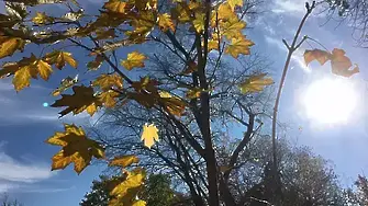 Опасно ветровито ще е днес