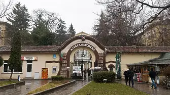 Спасили зрението на испански студент след стрелба с въздушна пушка пред нощен клуб в центъра на София