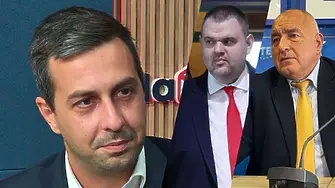 Николов: Борисов е малкият партньор на Пеевски и може да бъде изяден!