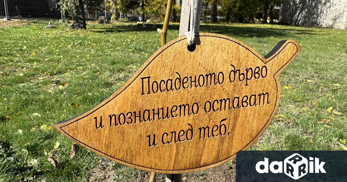 В Крайдунавски парк – Видин лесовъди и ученици от учебни