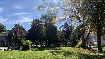 В сряда ще преобладава предимно слънчево време