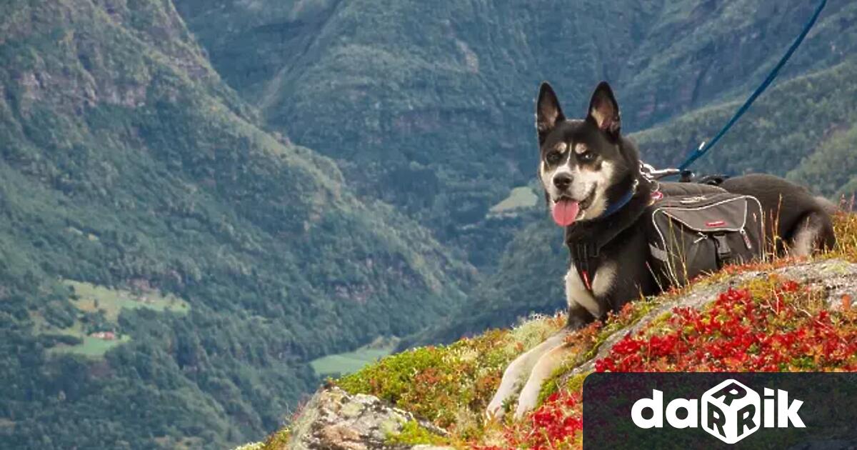 Невероятната история с открития в Пирин мъж обявен за починал