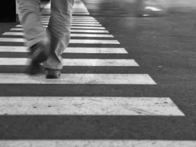 Специализирана операция за пътна безопасност с контрол над пешеходците се провежда в област Плевен