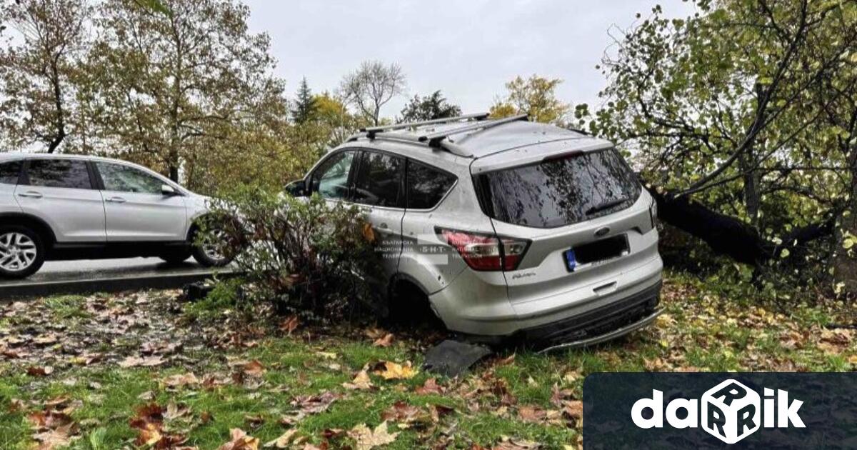 Дрогиран шофьор предизвика зрелищна катастрофа в градинката пред УМБАЛ–Бургас малко