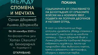 В Белоградчик ще отбележат 140 години от Сръбско-българската война