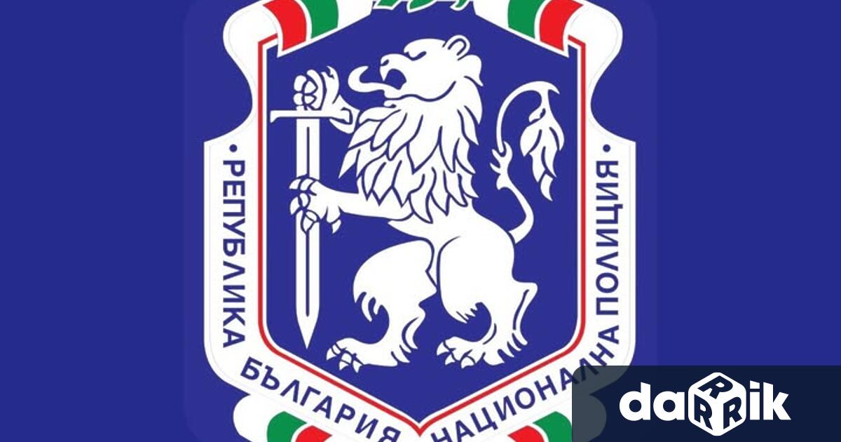 49 полицаи от ОДМВР Видин са наградени по случай празника за