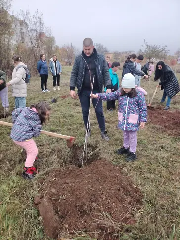 500 нови дървета засадиха във Враца – за по-зелен и красив град!