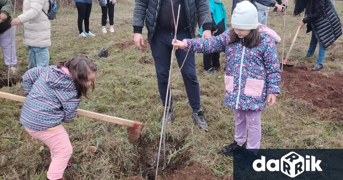 В рамките на инициативата Зелена Враца бяха засадени над 500