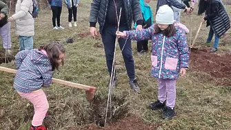 500 нови дървета засадиха във Враца – за по-зелен и красив град!