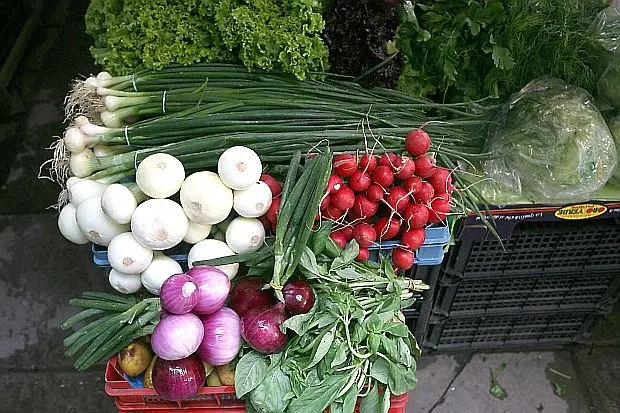 Заместник-министър Бурджев ще открие в Плевен информационна среща от кампанията „Призвание: БиоЛогичен!“