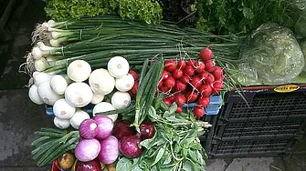 Заместник-министър Бурджев ще открие в Плевен информационна среща от кампанията „Призвание: БиоЛогичен!“