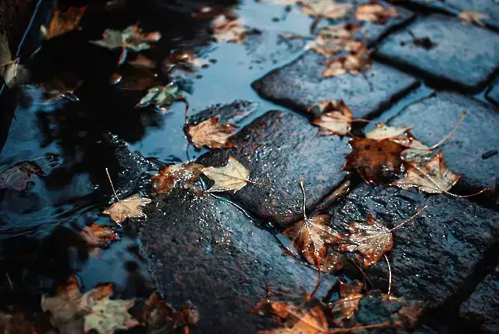 Облачно с валежи в края на седмицата