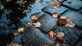 Облачно с валежи в края на седмицата