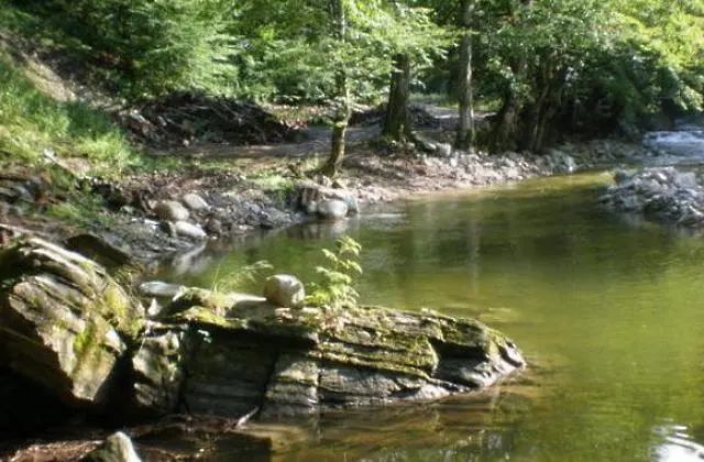 Международен ден срещу експлоатацията на околната среда по време на война