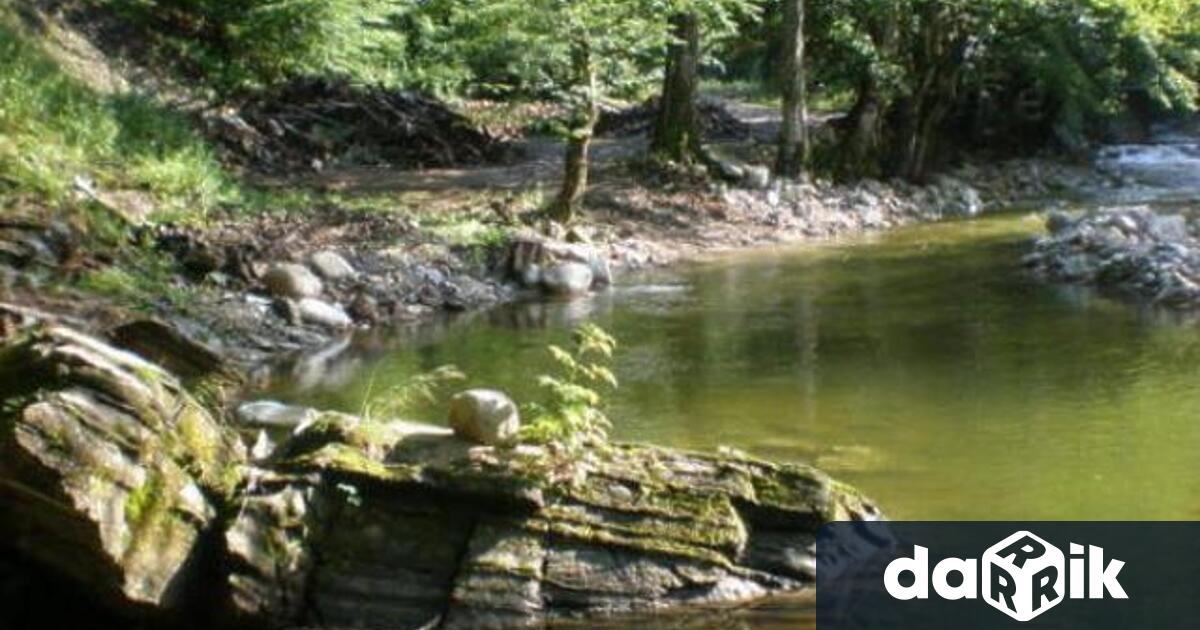 Международният ден за предотвратяване на експлоатацията на околната среда по