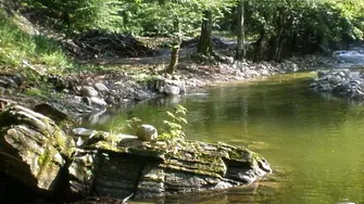 Международен ден срещу експлоатацията на околната среда по време на война