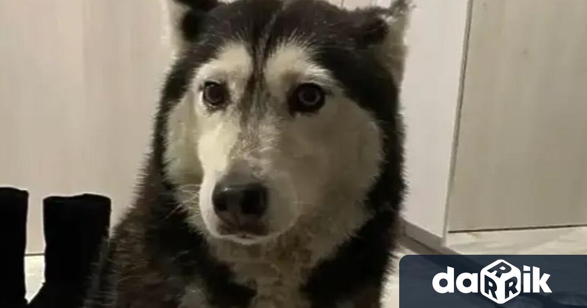 Глоби за 1680 лева за няколко пътни нарушения има лекарят