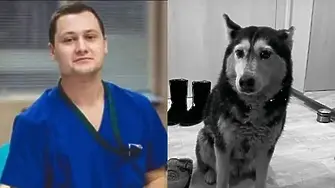 Парична гаранция от 5000 лв. за специализанта, прегазил кучето Мая