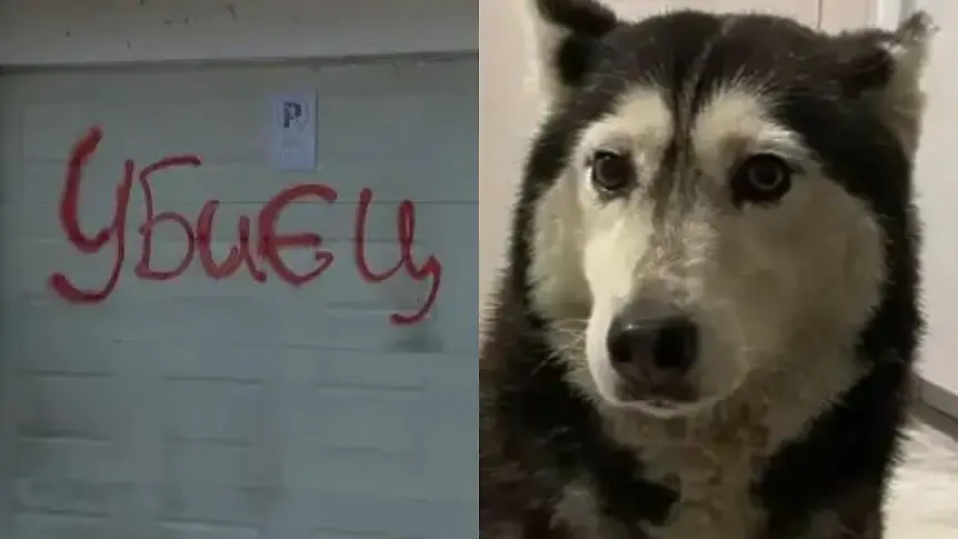 СНИМКА: Ето как изглежда убиецът на кучето Мая