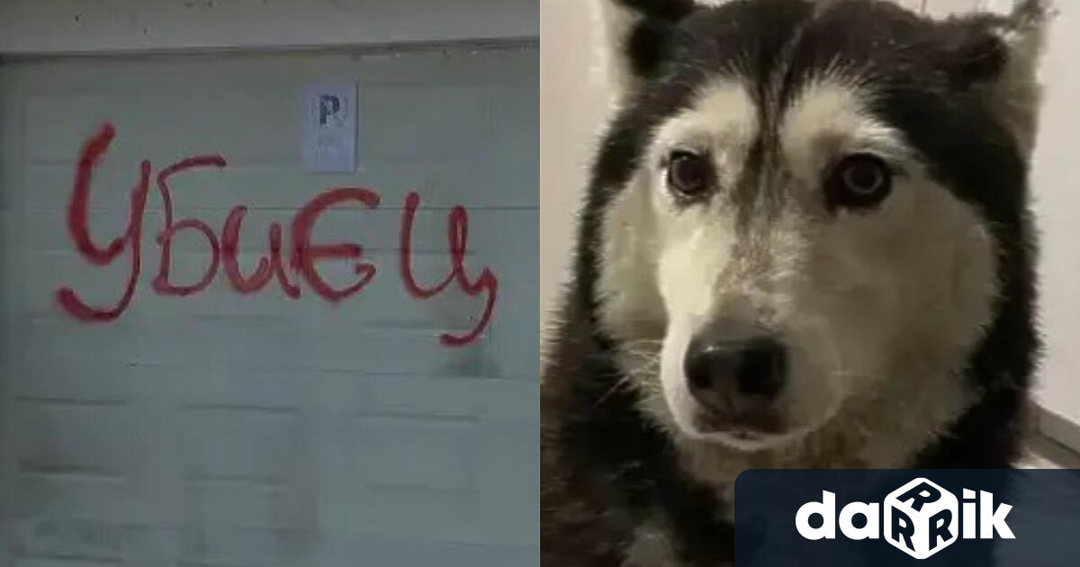 Това е медикът Ненад Цоневски който се разследва за убийството