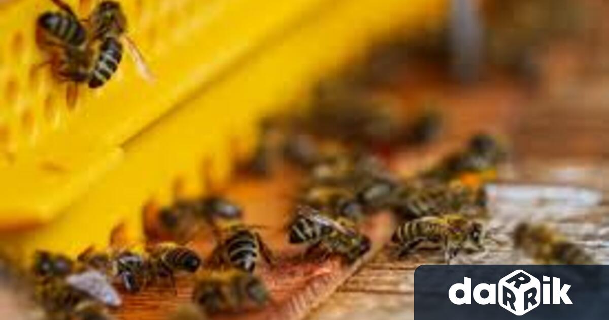 На 7 ноември в 13 35 часа на тел 112 постъпил сигнал