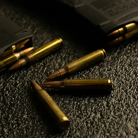 Откриха оръжия и боеприпаси в дома на 84-годишен мъж в Казанлък