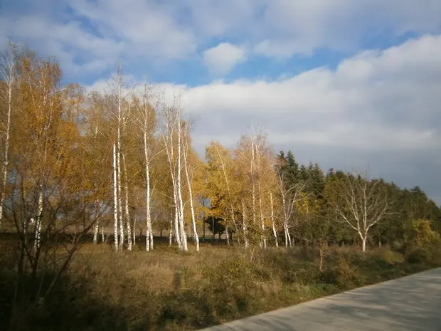 В събота следобед времето ще е предимно слънчево