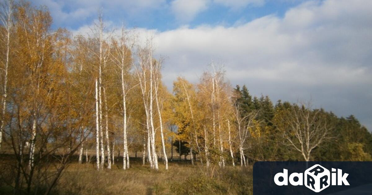 В събота още през нощта в равнините низините и около