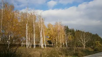В събота следобед времето ще е предимно слънчево
