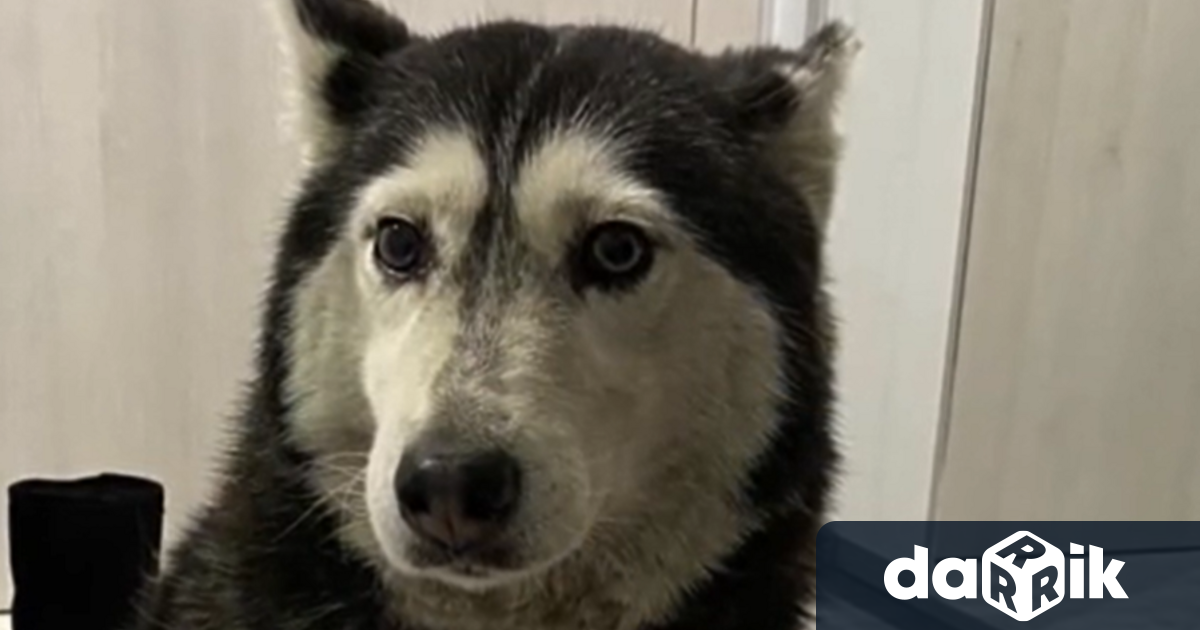 Това е Мая От 14 години домът и е тротоарът