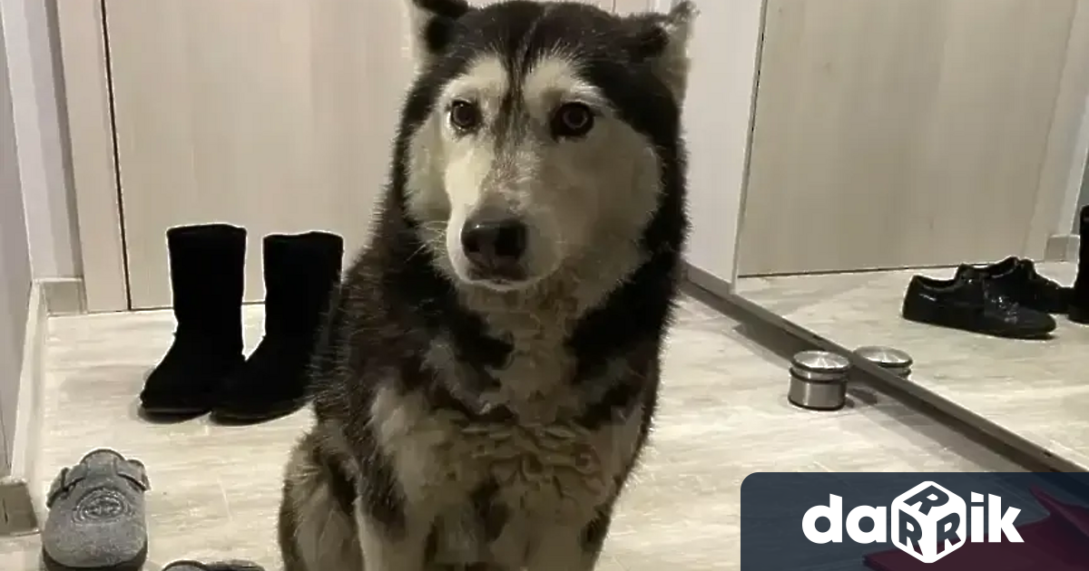 След вълна от обществено недоволство Софийската районна прокуратура повдигна обвинение