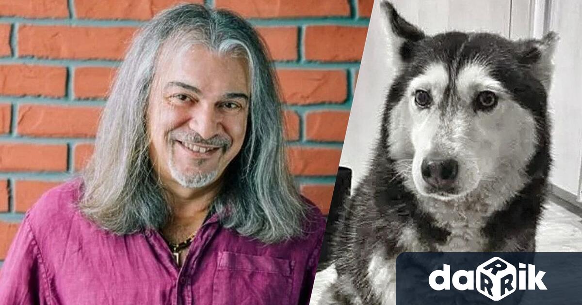 Маги Халваджиян написа коментар в социалните мрежи след като куче