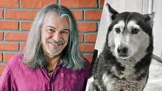 Маги Халваджиян избухна: Лекар умишлено гази с колата си лежащо кротко на тротоара куче!